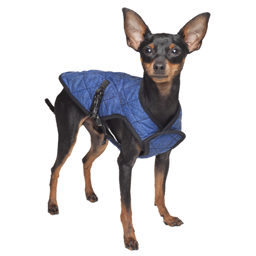 Dog Cooling Jacka från Aqua CoolKeeper Blue